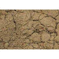 Сеяный речной песок, чистый и качественный