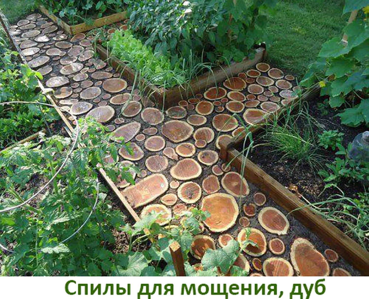 Спилы поквадратно дуб для мощения, (Ø 10-35см, h 8см), м.кв.