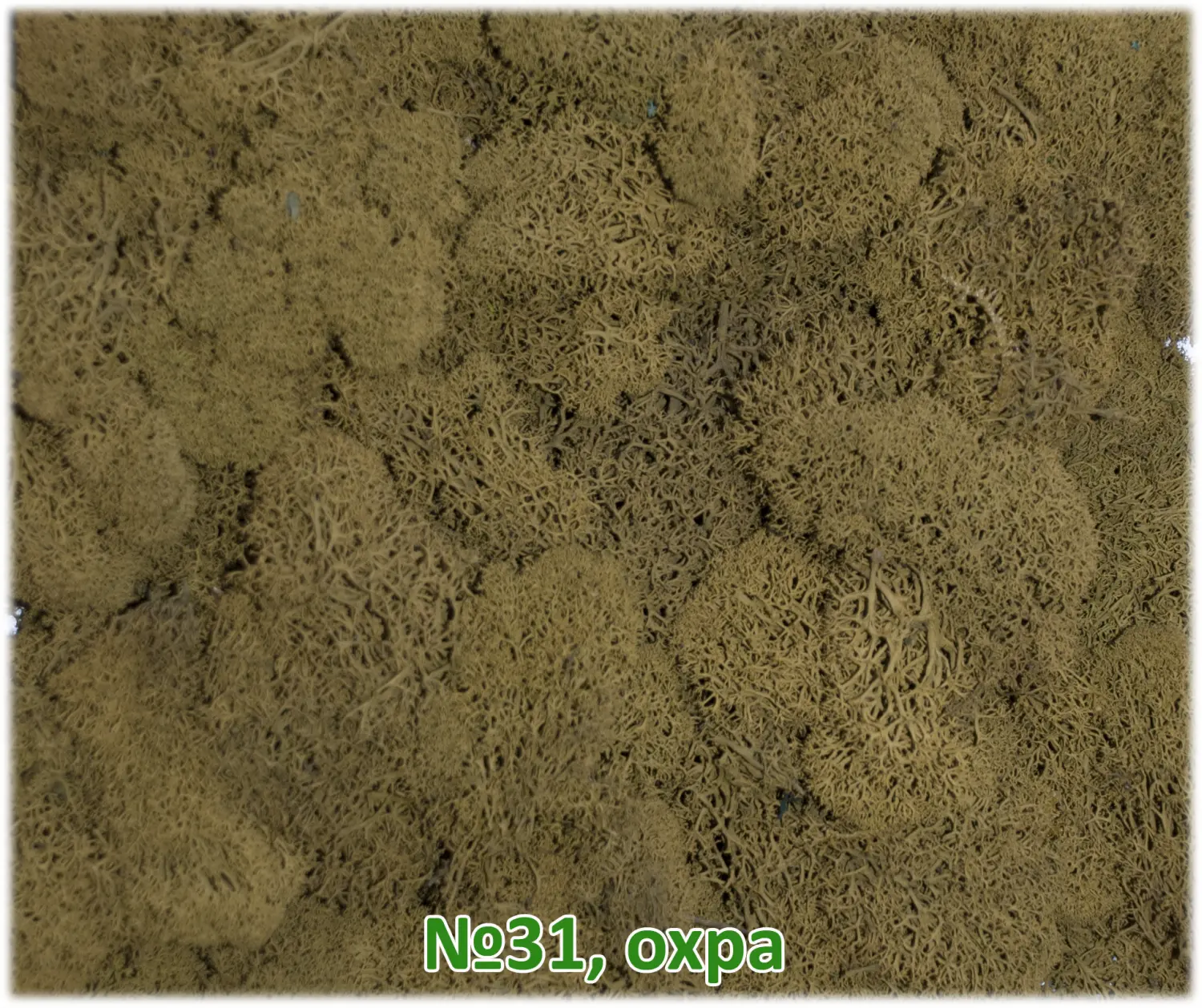 Мох стабилизированный №31 охра, 30*40 см, пак