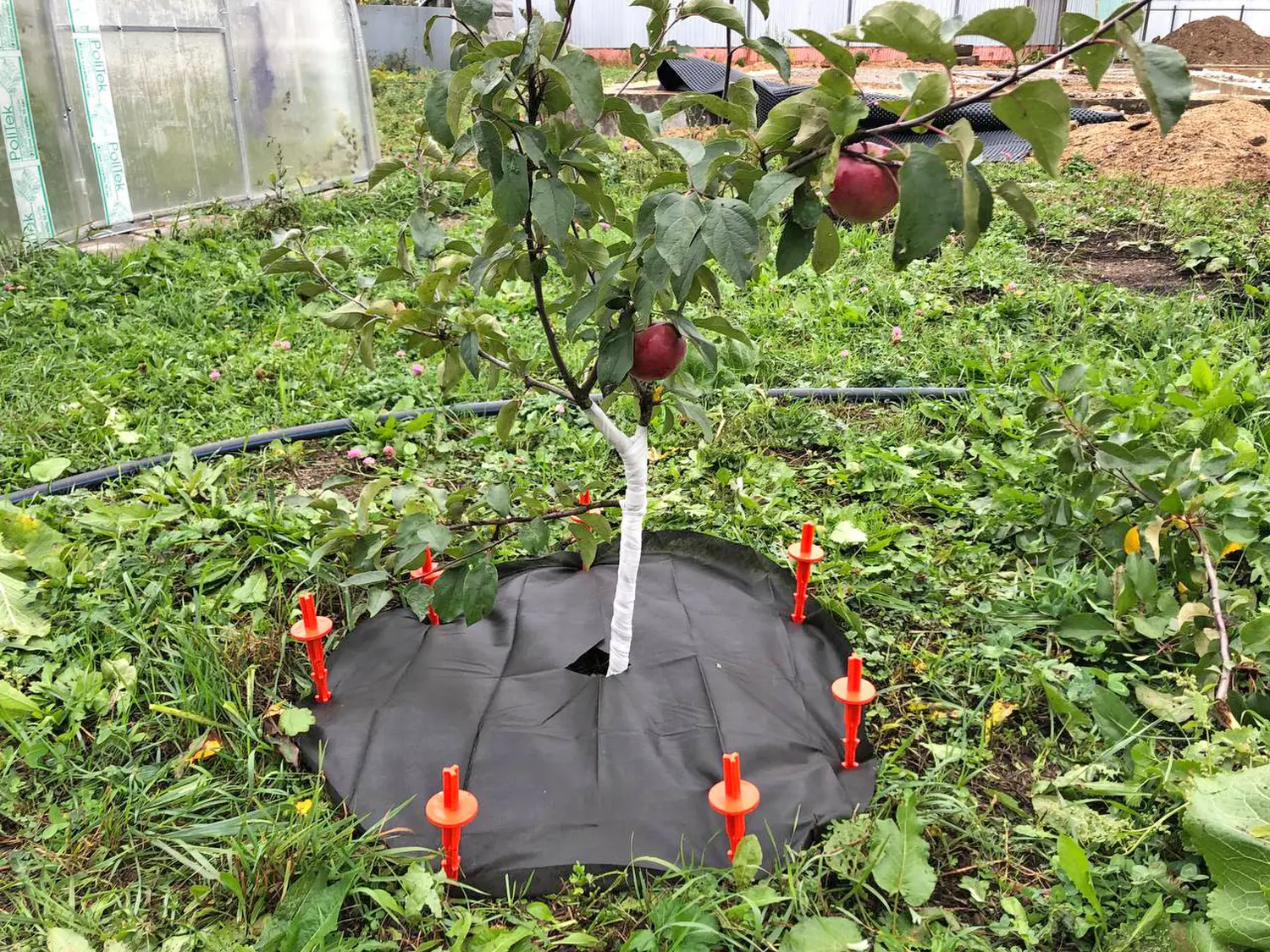 Агротекс Приствольный круг УФ, Ø 1,2 м, 5 шт/уп