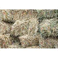 Луговое сено – органическая мульча и корм для животных