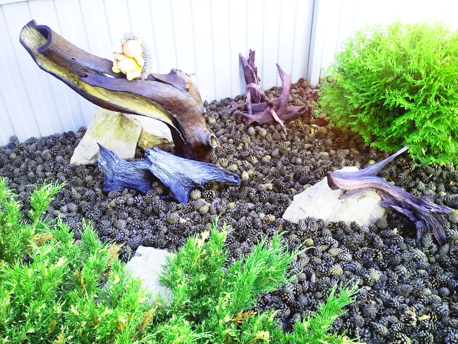 Шишки сосновые мелкие (600-800 шт), 60 л