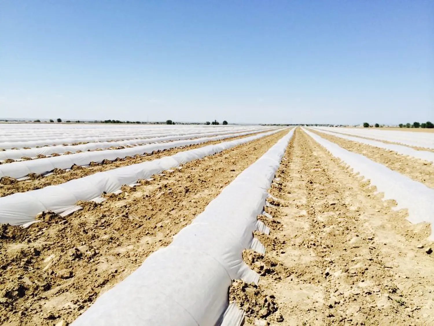 Агротекс Белый 42, 3,2*10 м, уп