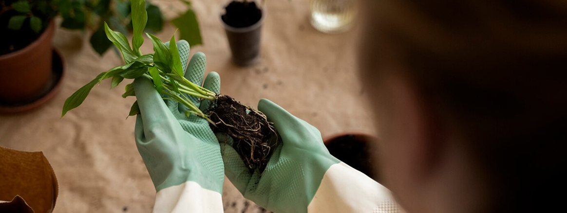 Какая лампа нужна для рассады: виды и критерии выбора 4