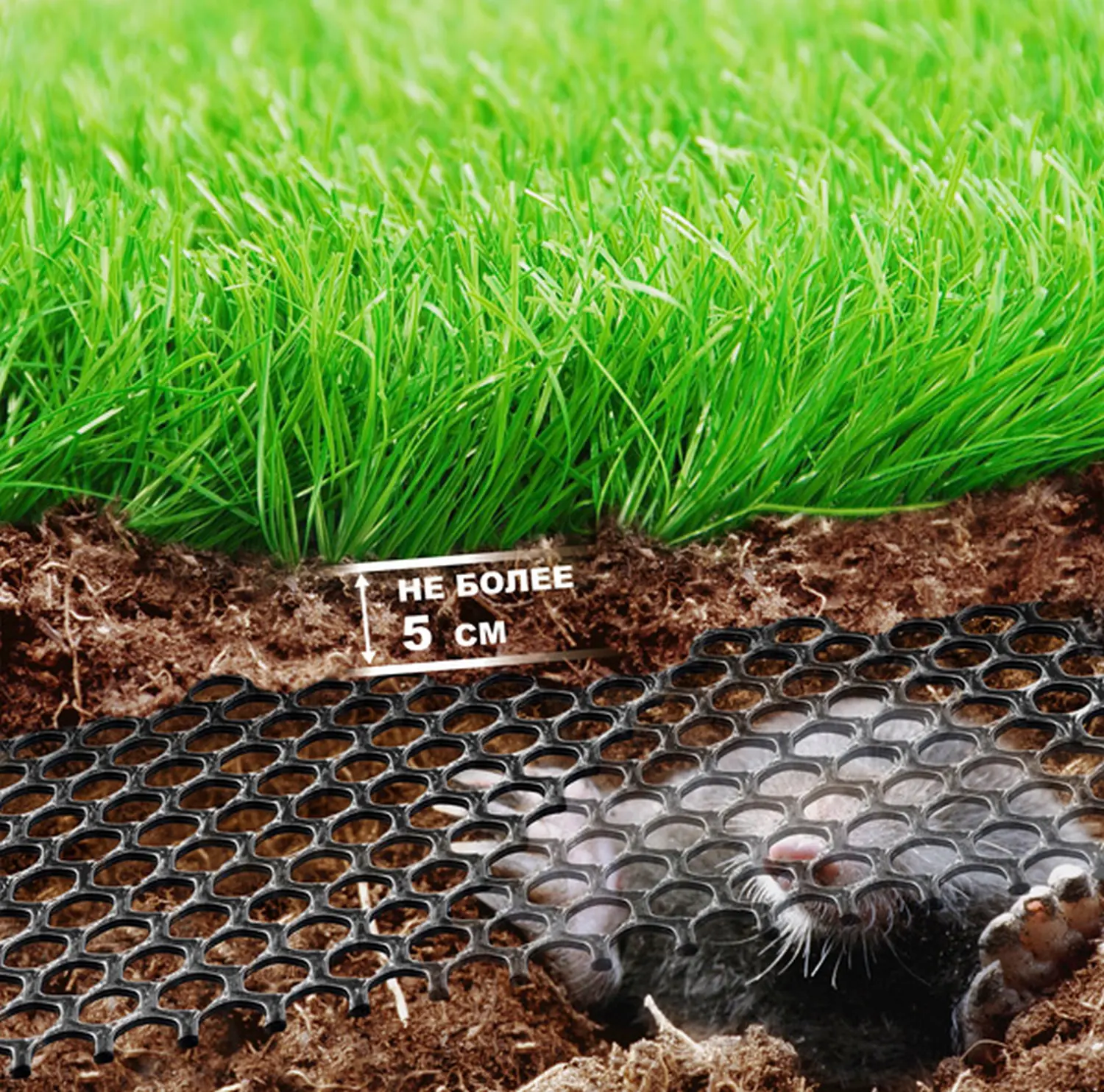 Сетка от кротов ПРОТЭКТ, 2 x 30 м, черная, рул