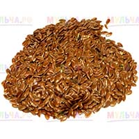 Лен - морозоустойчивый сидерат, для раннего высева