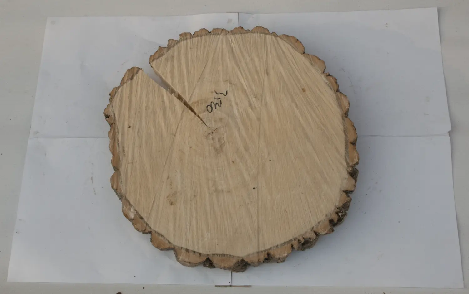 Спил осина без шлифовки СОс, (Ø 35-40 см, h 3см), шт