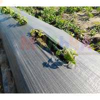 Прочная геоткань для садоводов и ландшафтных дизайнеров