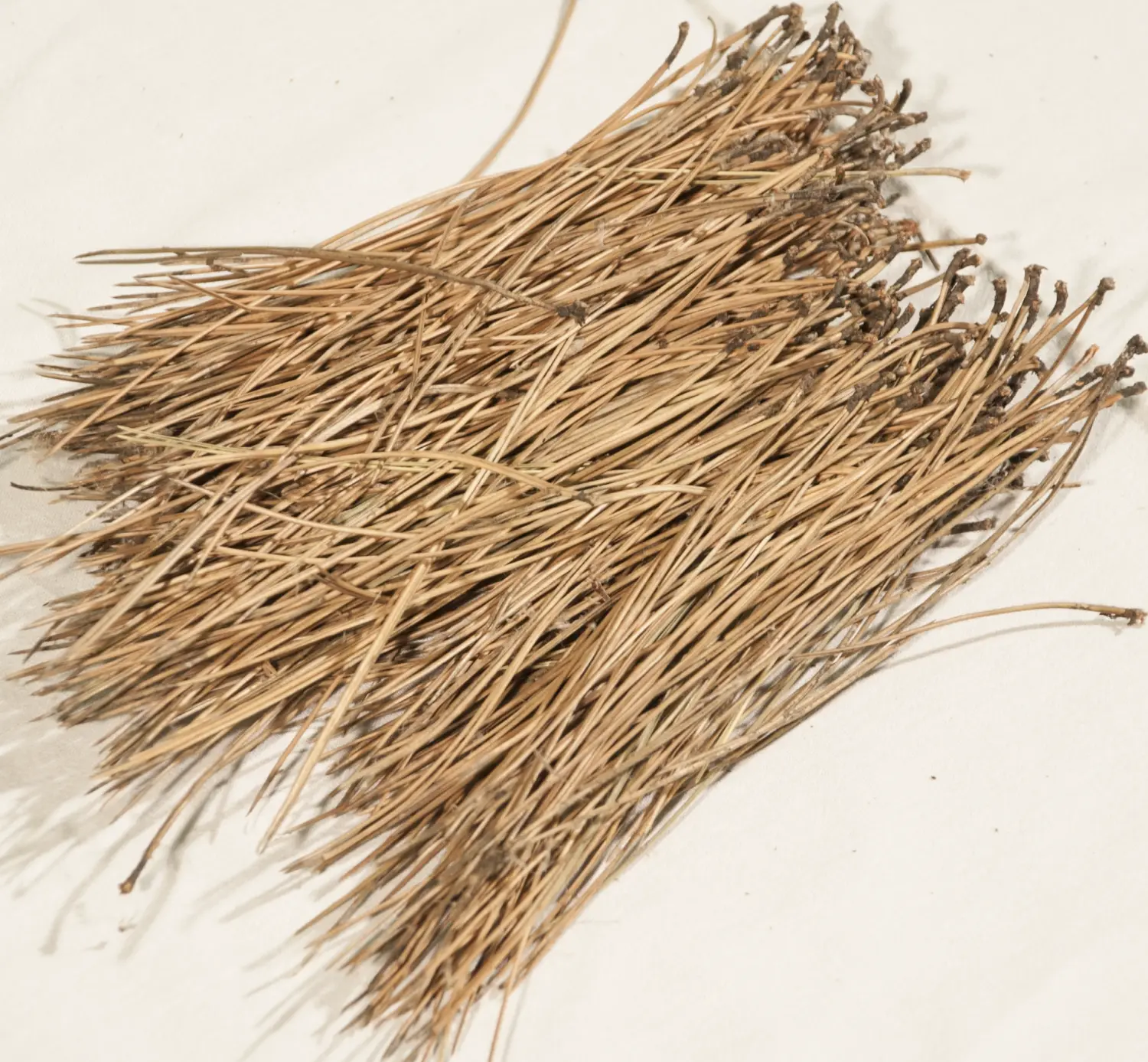 Иголки сосновые, 60 л