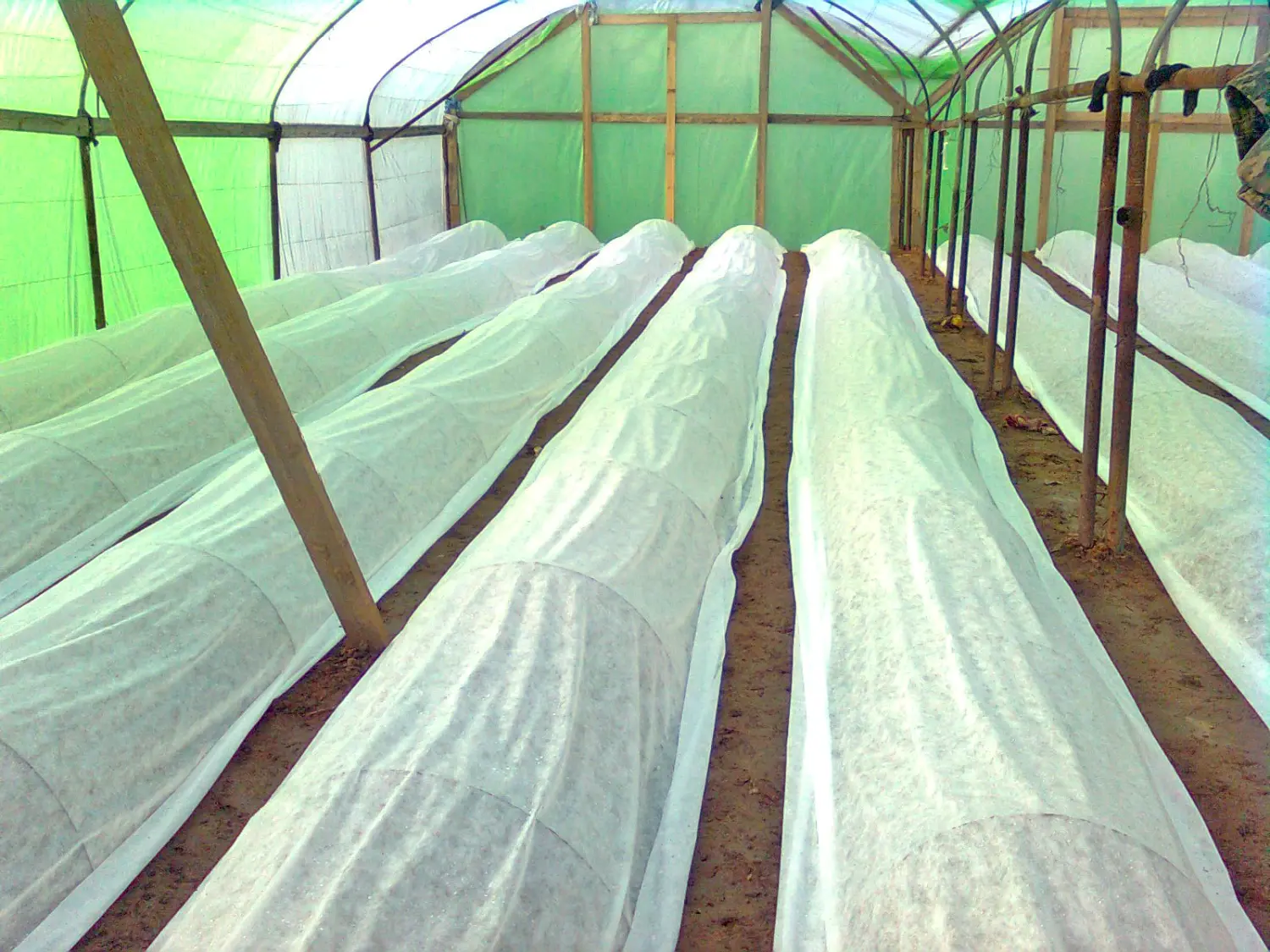 Агротекс Белый 42, 3,2*10 м, уп