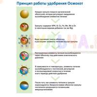 Это удобрение достаточно внести один раз за сезон