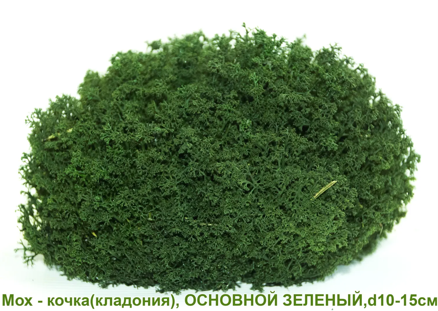 Мох - кочка 'кладония', Зеленый основной, Ø 10-15 см, шт