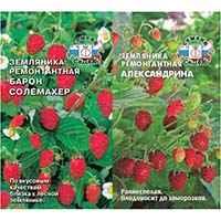 А вы уже купили семена земляники?