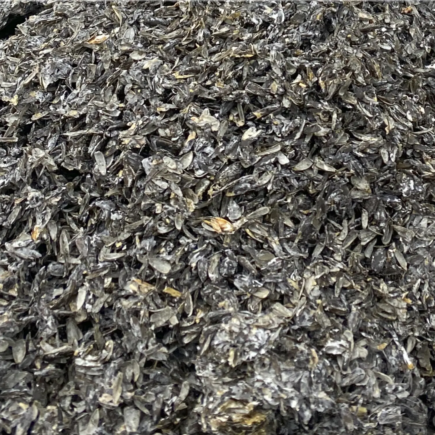 Субстрат грибных блоков(отработанных), мешок 60 л