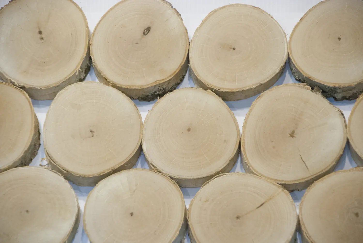 Спилы поквадратно береза шлифовка БЕЗ коры, (Ø 2-15см, h 1,5-2см), м.кв.