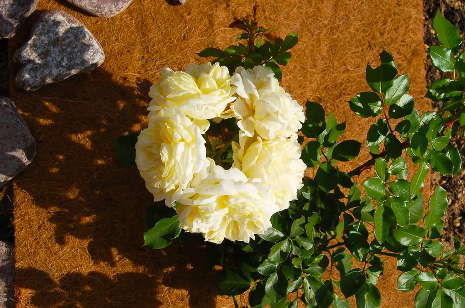 Nekura Укрытие кокосовое "Мульчаграм", 0,75 x 6 м, рул