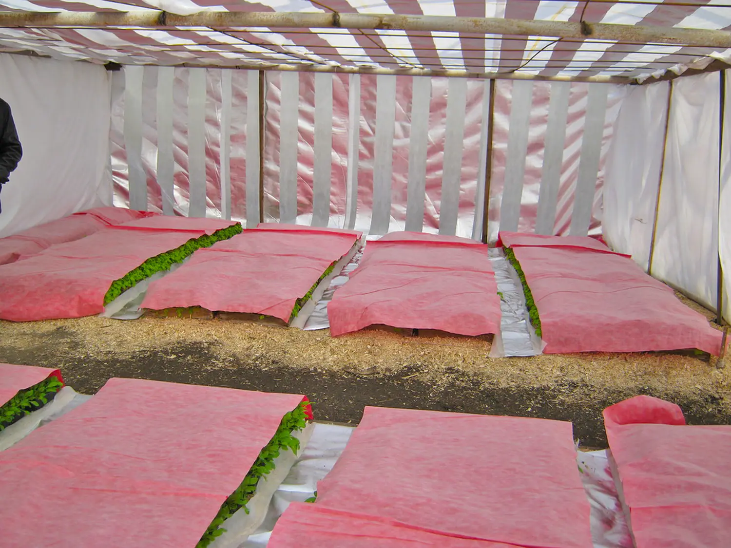 Агротекс Фольгированный укрывной материал 90, 1,6*5 м, уп