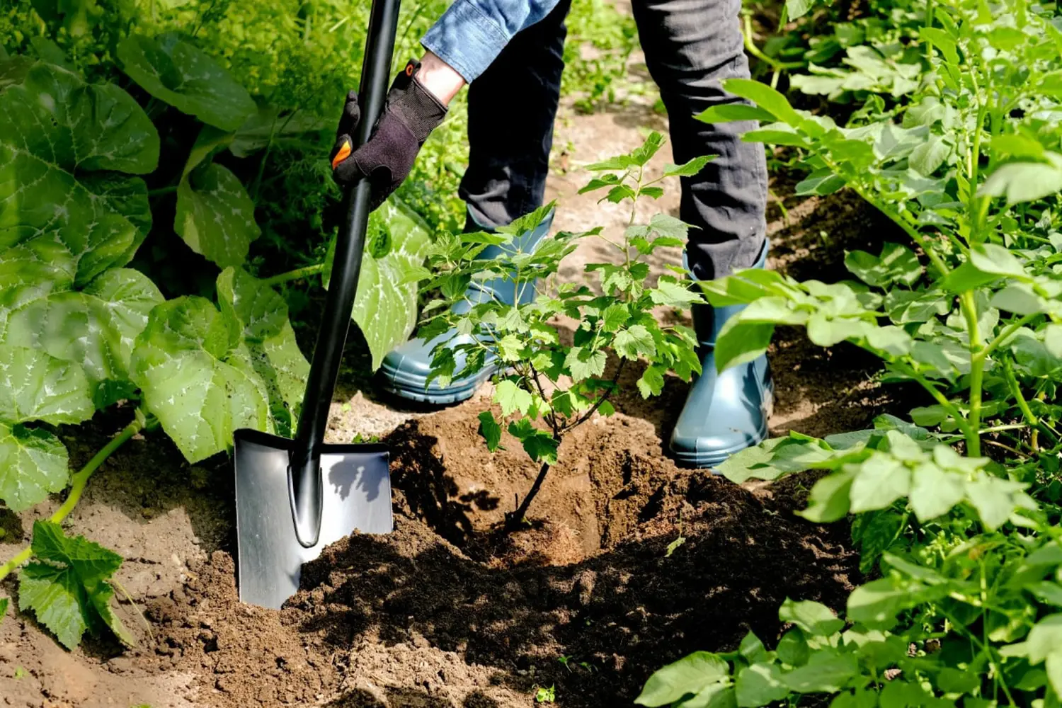 Plantic Лопата штыковая Terra, арт 11005-01, шт