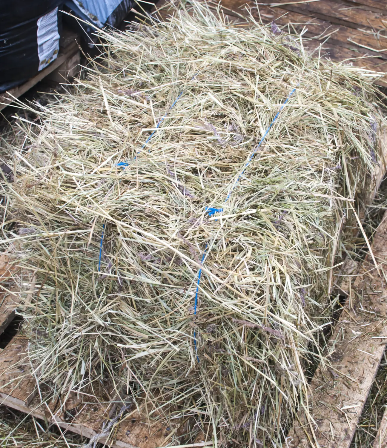 Сено луговое, тюк