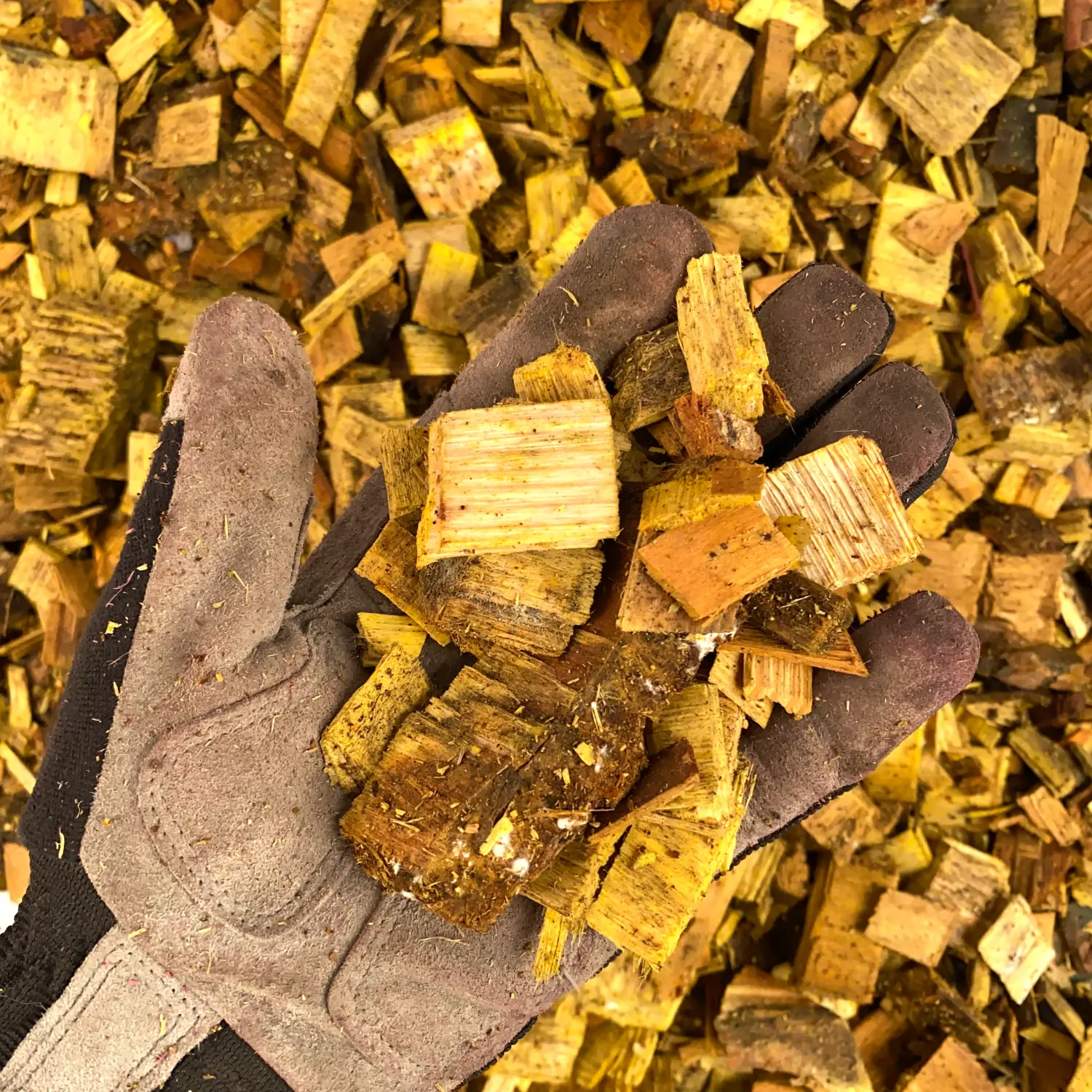 Щепа декоративная, желтая, 60 л