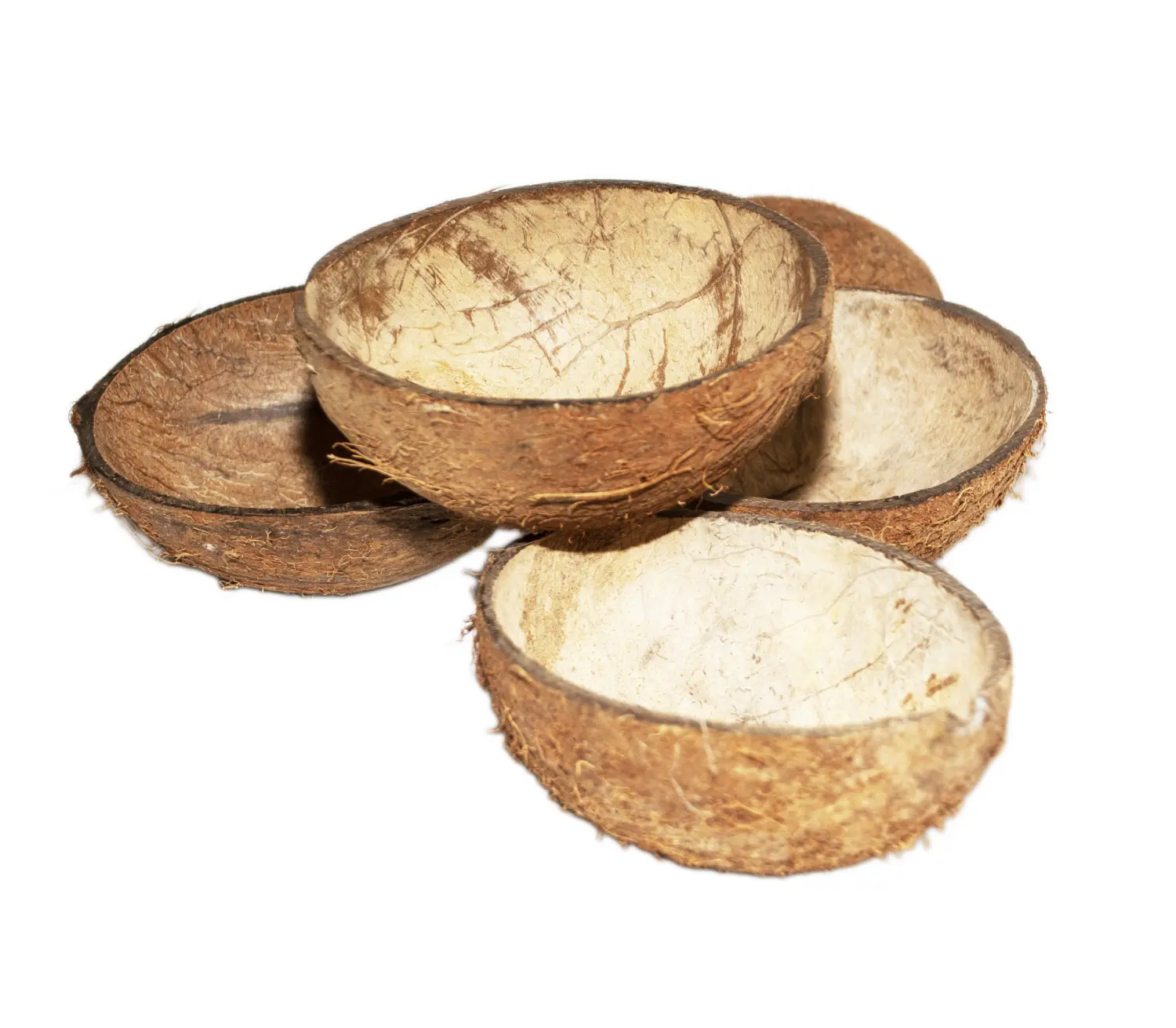 FM Скорлупа кокосового ореха с отверстием (половинка) домик для грызунов, шт