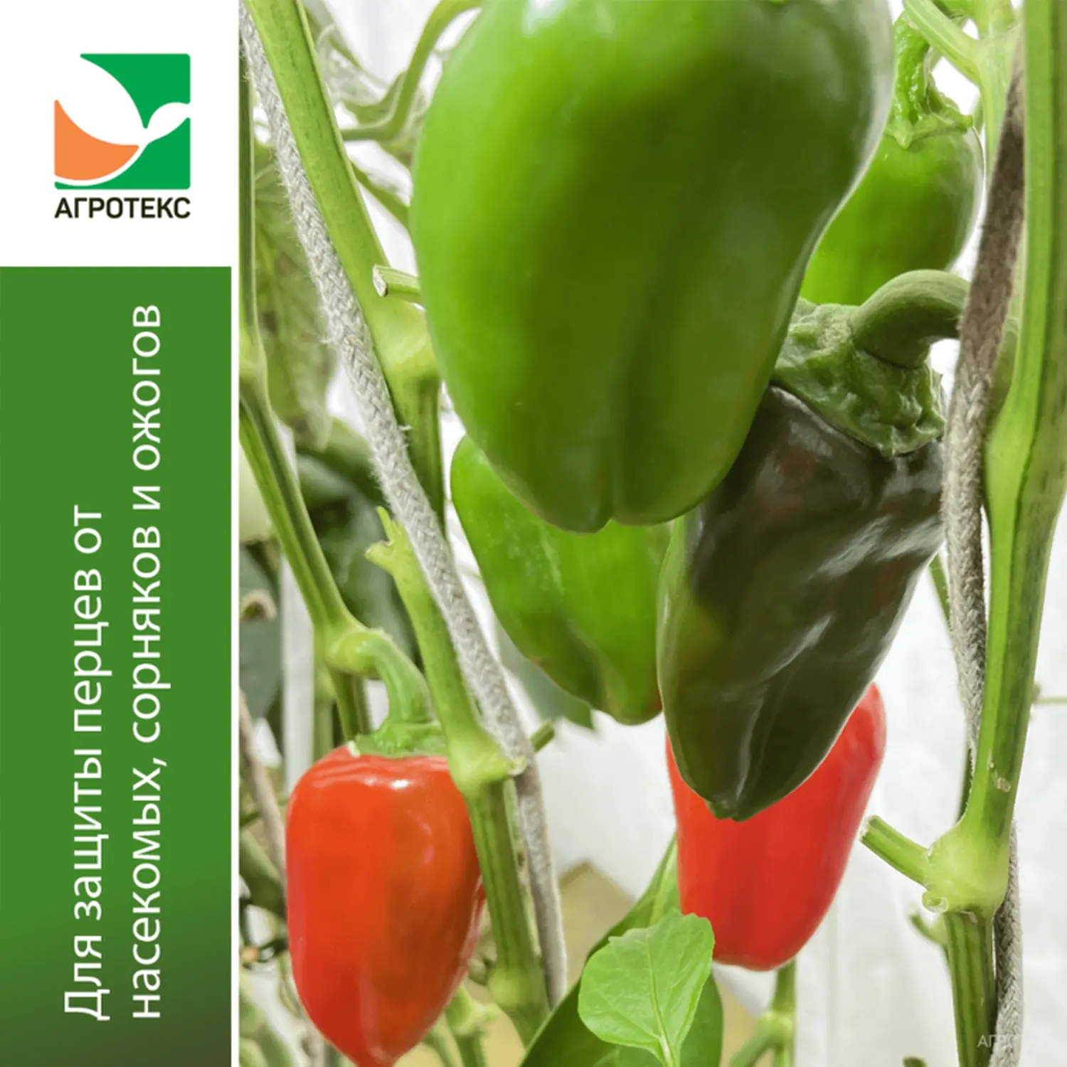 Агротекс Комплект для перцев, уп