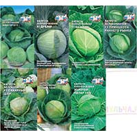 Семена капусты, 7 сортов и гибридов