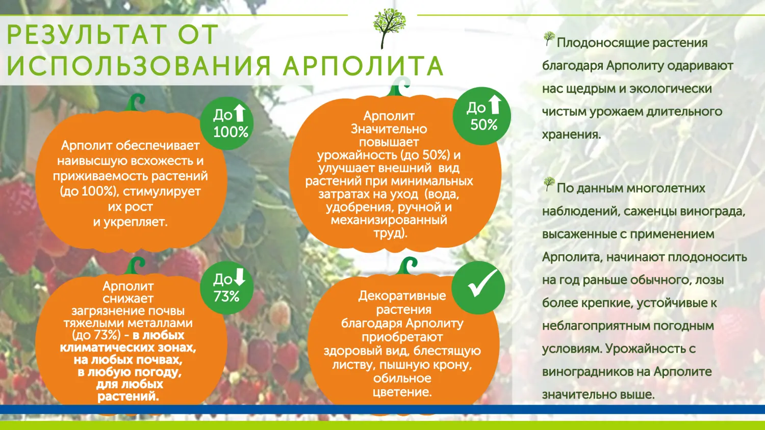 Арполит (Arpolith), улучшитель почвы, германия, 1 кг, ведерко 