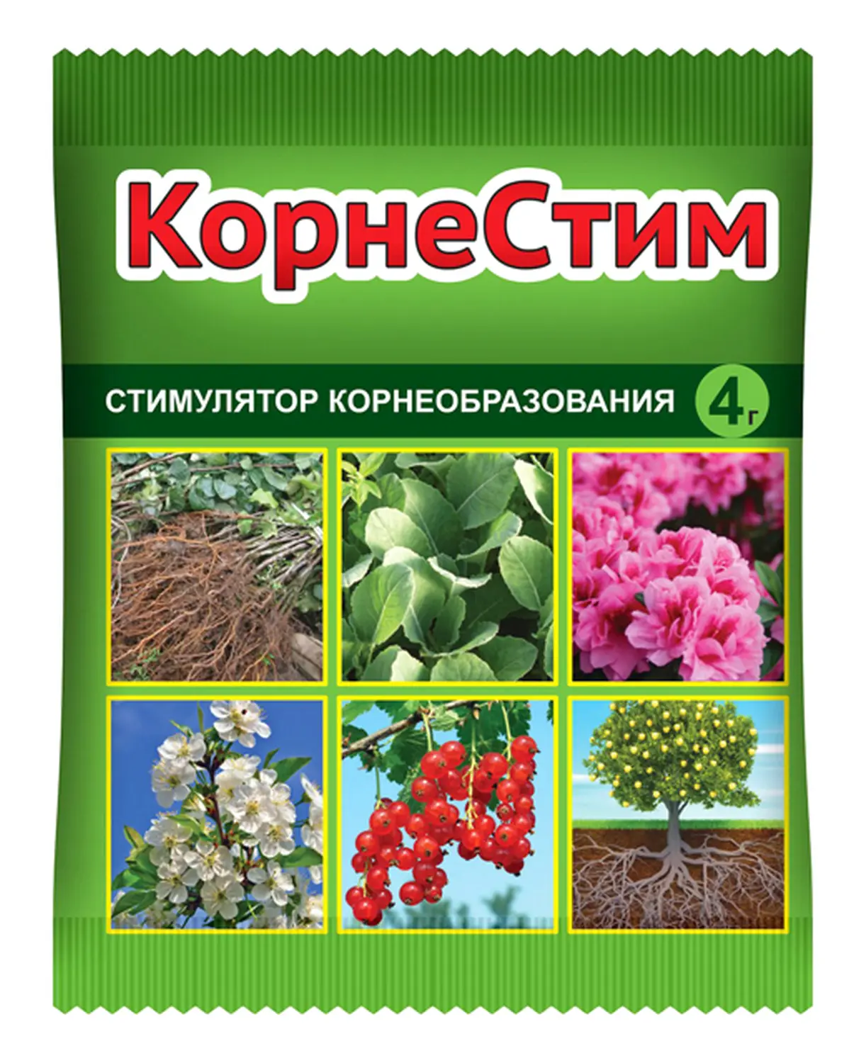 Корнестим стимулятор корнеобразования, пакет 10 г