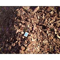 Кора сосны для мульчирования – материал доступный каждому