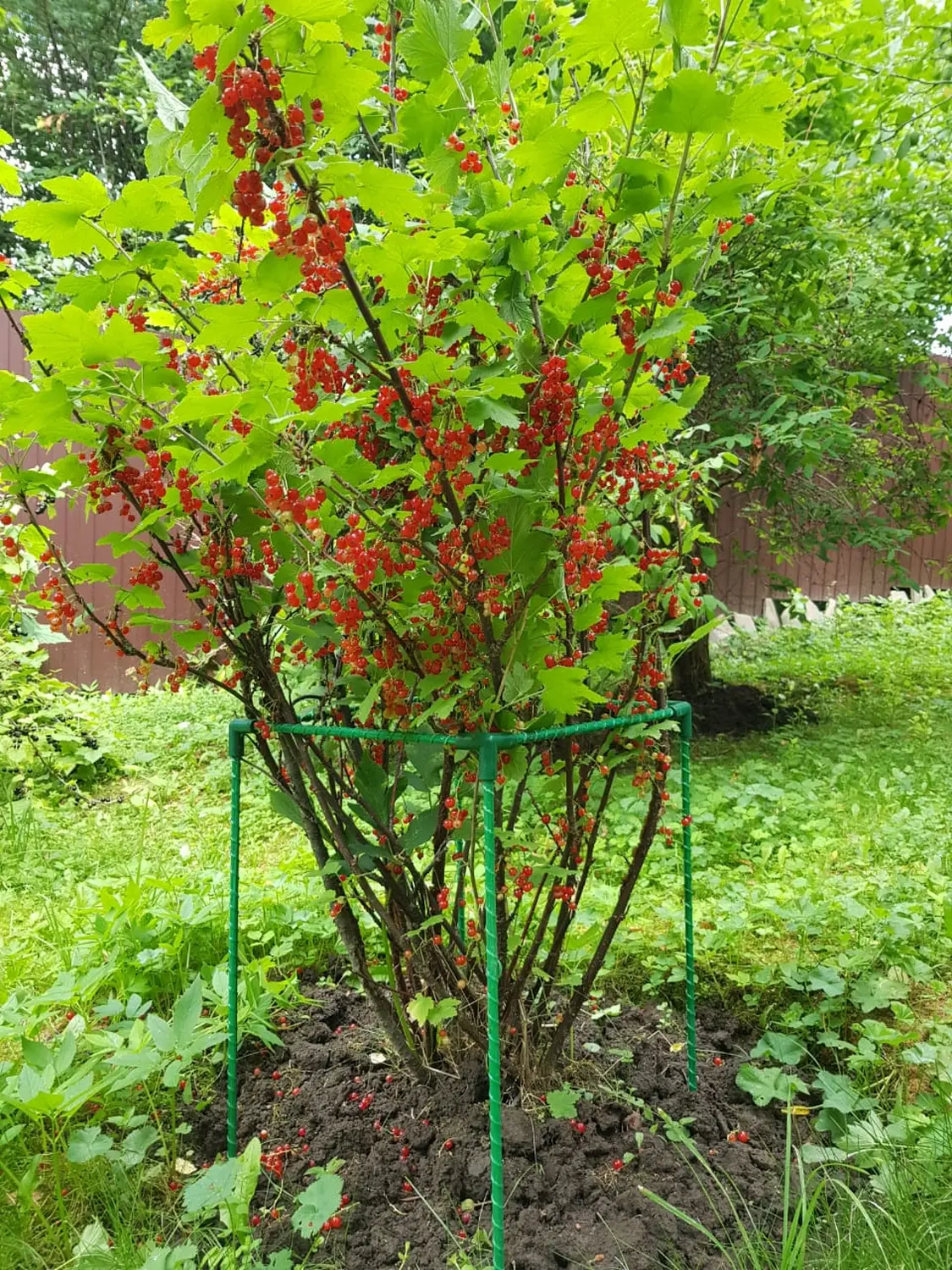 Кустодержатель квадратный композитный, 35 * 35 * h 55 см, уп