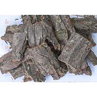 Кора дуба: не только лекарство, но и мульча