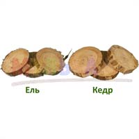 Деревянные спилы еловые и кедровые