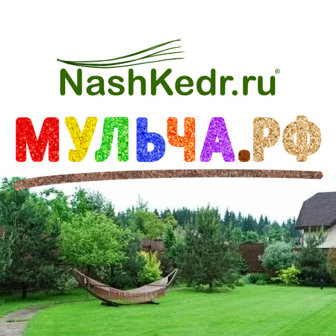 МульчаРф_T