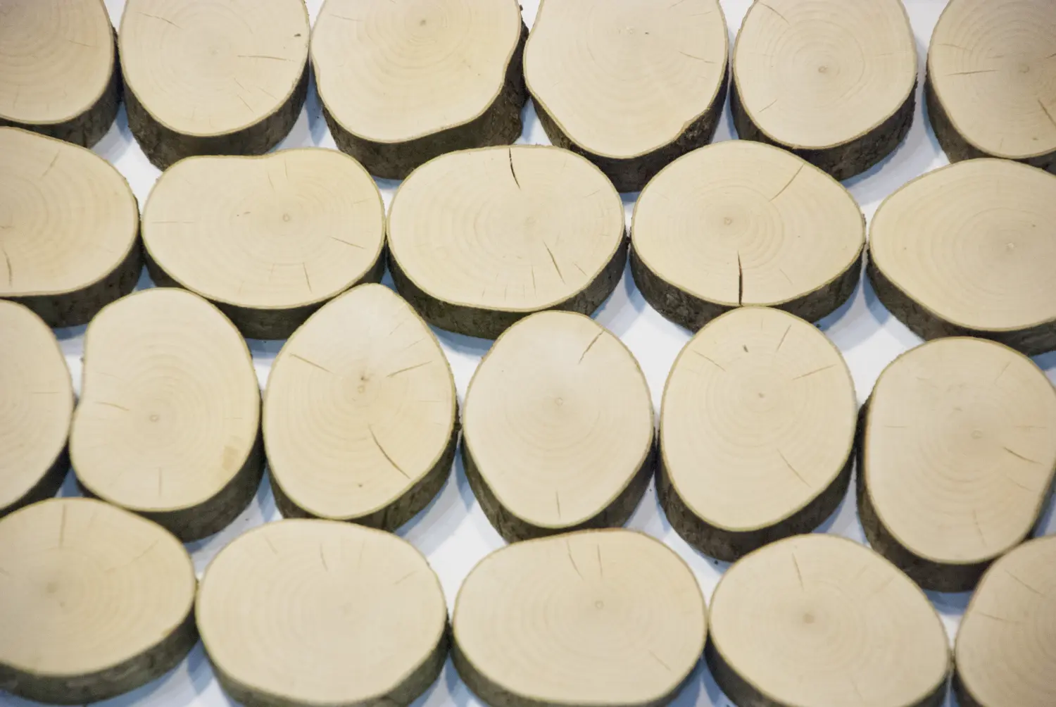 Спилы поквадратно орешник шлифовка БЕЗ коры, (Ø 2-15см, h 1,5-2см), м.кв.