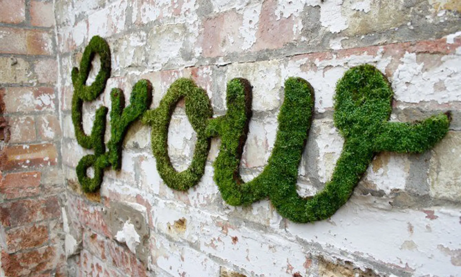 Мох натуральный, зеленый, лоток 30*40 см (без лотка), шт