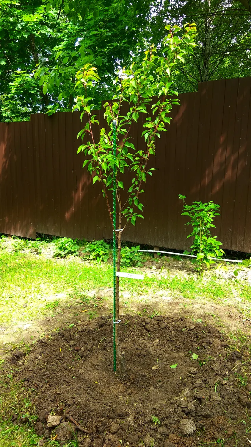 Колья для подвязки, композитные, h 180 см, 10 шт/уп