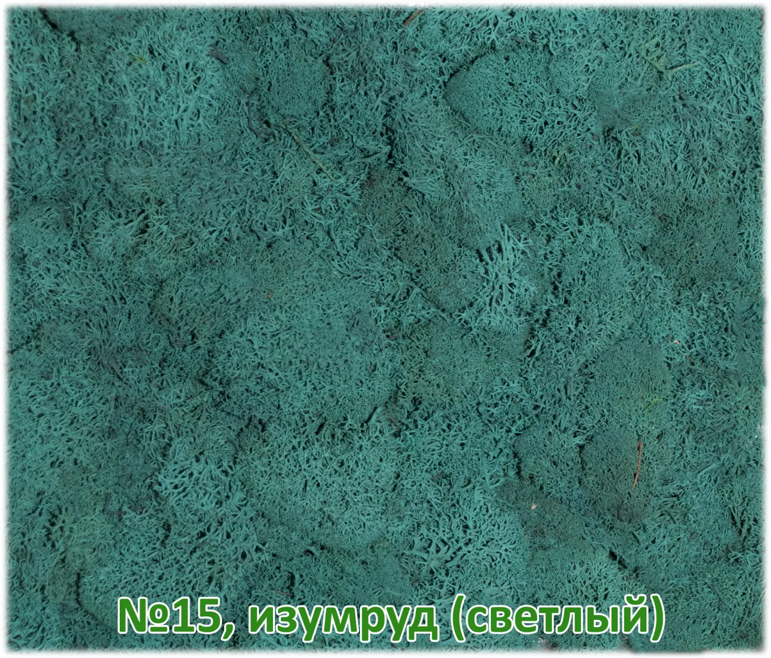 Мох стабилизированный №15 светлый изумруд, 30*40 см, пак