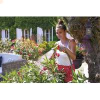 Настраиваемый пистолет-распылитель мulti Spray для садовых и хозяйственных работ