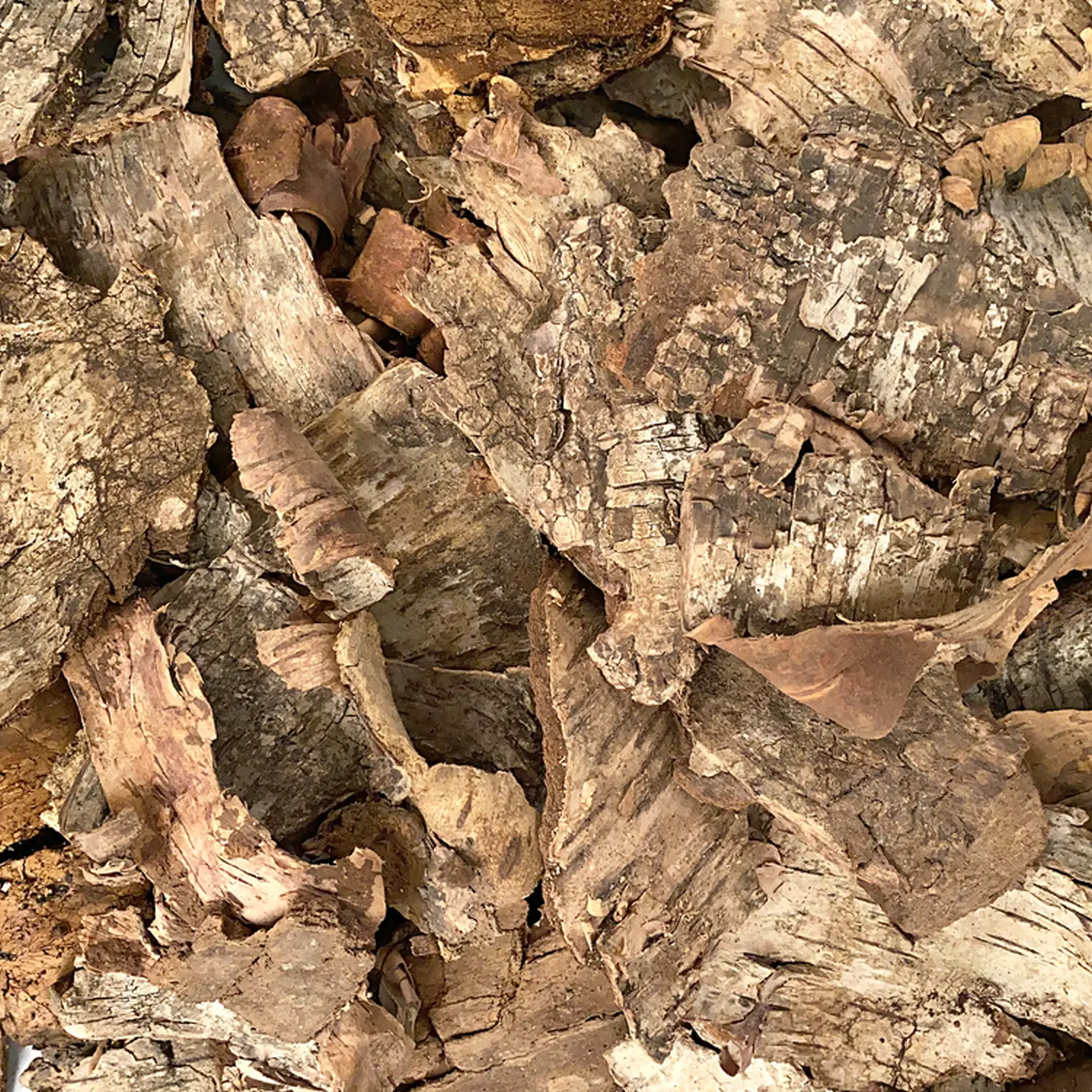 Кора лиственных пород (береза, осина) 9-20 см, 60 л 