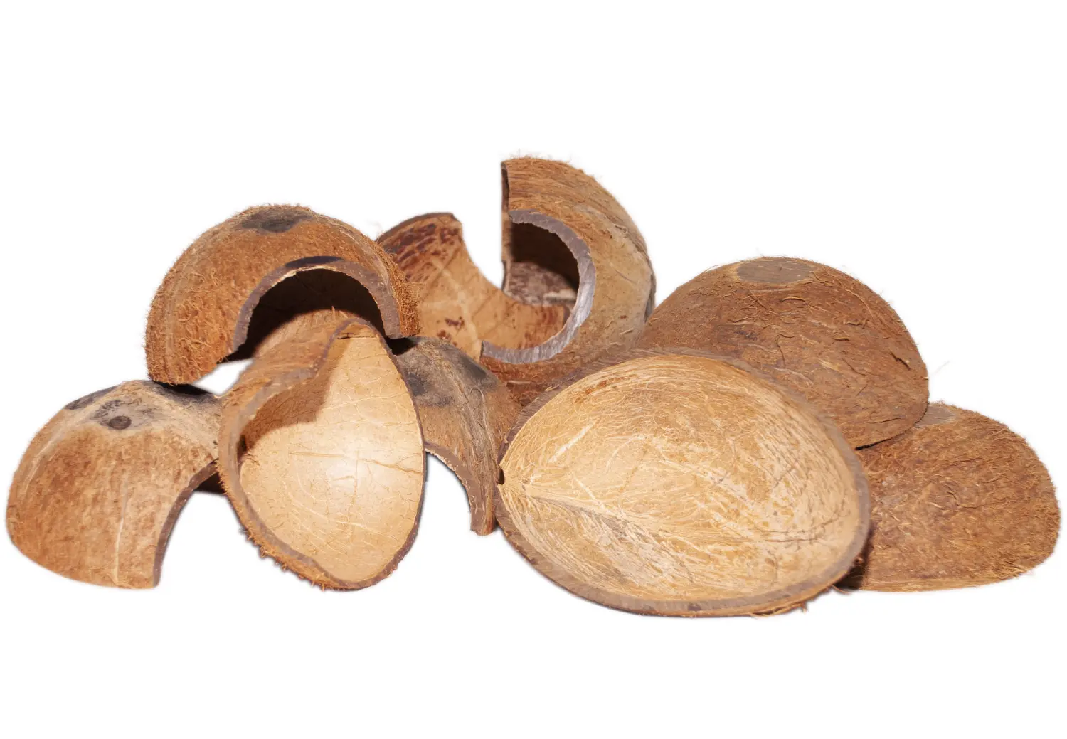 FM Скорлупа кокосового ореха с отверстием (половинка) домик для грызунов, шт