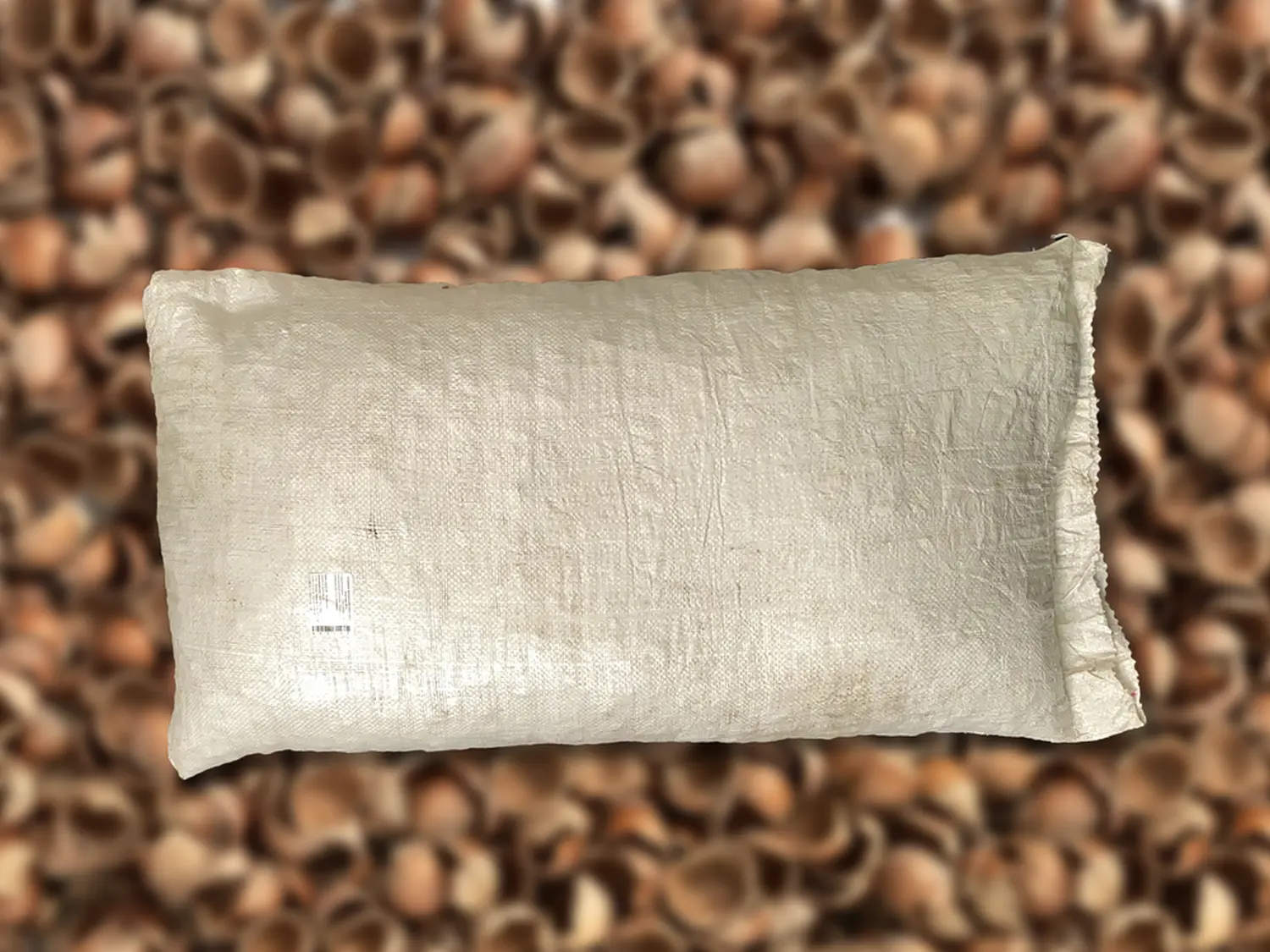 Скорлупа фундука (лесного ореха, лещины), 60 л