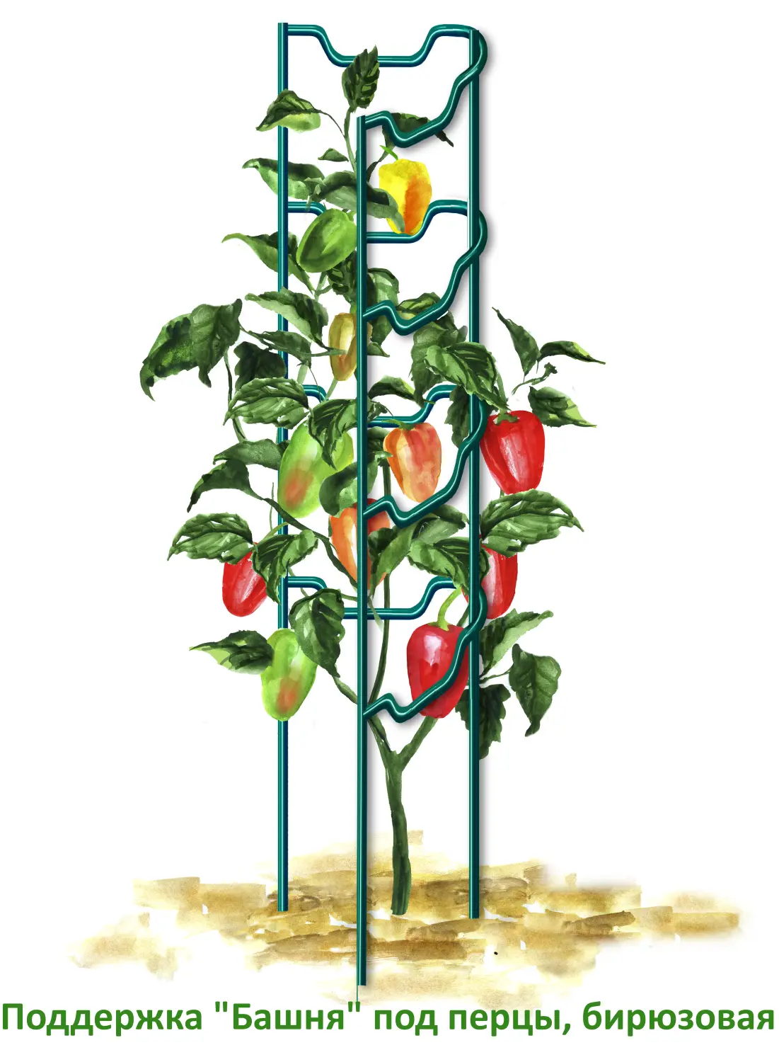 Поддержка "Башня" под перцы, зеленая, h 60 см, шт