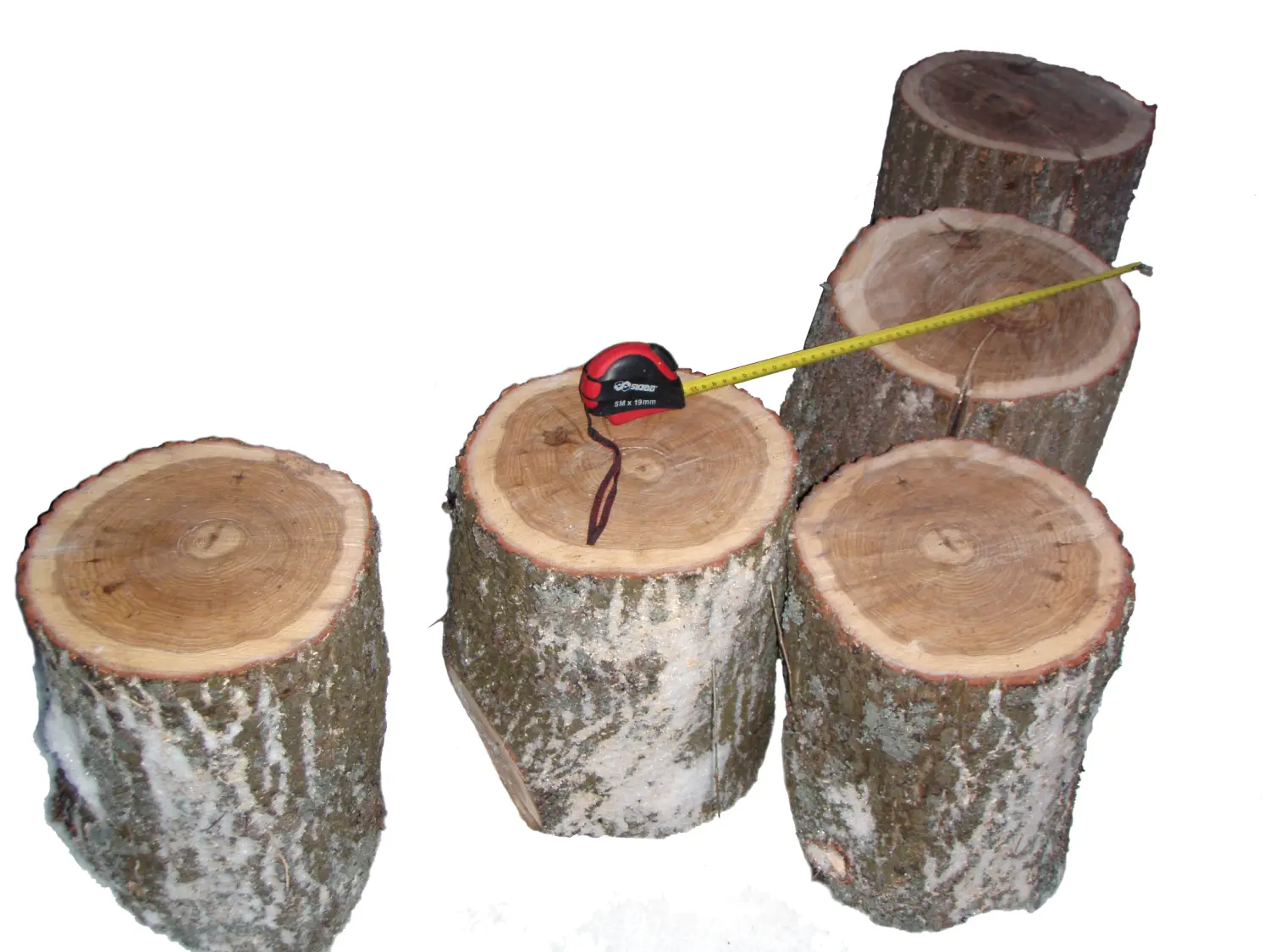 Чурбак дубовый, Ø 20-25, h 30 см