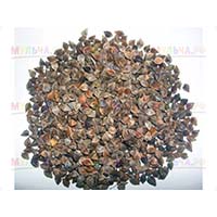 Гречиха высаженная в качестве сидерата улучшает структуру почвы