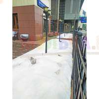 Укрывной материал поможет сохранить рассаду и увеличить урожай