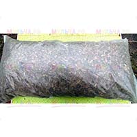 Хвойное ассорти для создания естественного ландшафта