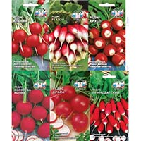 Что за огород без редиса?