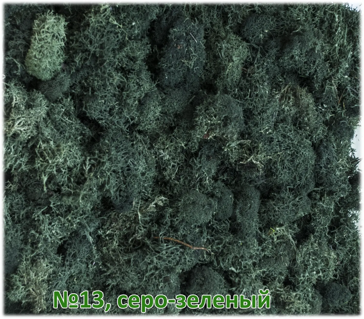 Мох стабилизированный №13 серо-зеленый, 30*40 см, пак