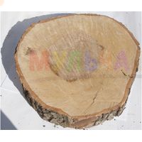 Шлифованный спил березы - интересные особенности материала
